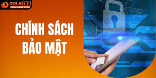 Thông Tin Chính Sách Bảo Mật Tại Nhà Cái DOLA789 Mới Nhất