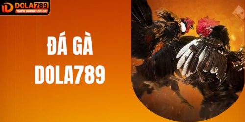 Cá Cược Đá Gà DOLA789 Đa Dạng Thể Loại Cực Hấp Dẫn