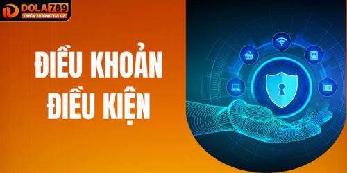 Điều Khoản Điều Kiện - Bảo Vệ Quyền Lợi Khi Tham Gia Tại DOLA789