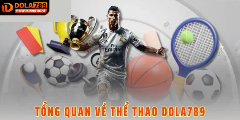 Thể thao DOLA789 là gì?