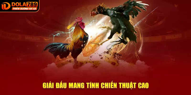 Giải mã bí mật thu hút người chơi của đá gà DOLA789