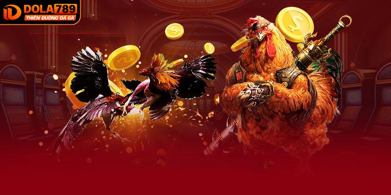 Các bước tham gia cá cược đá gà tại DOLA789