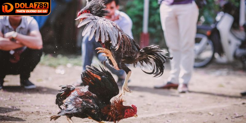 Quá trình tiến hành huấn luyện và cường độ