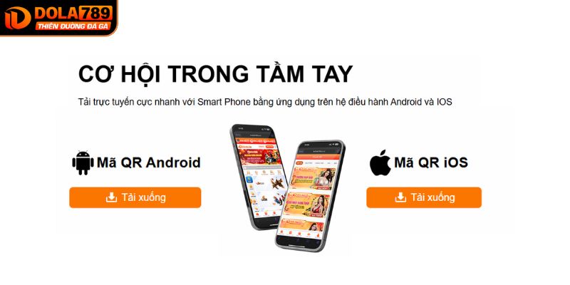 Thao tác tải app dành cho IOS và Android